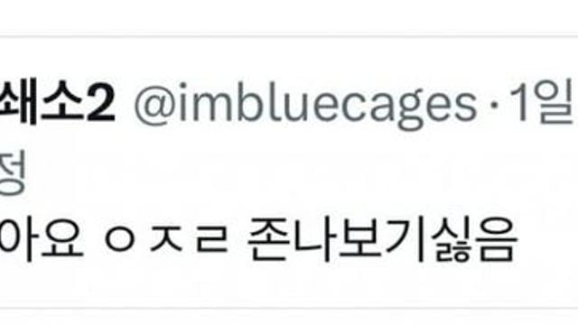 트페미 한녀들의 표적이 된 스피키..jpg