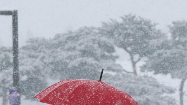 ‘어느새 눈앞에 봄’ 낮 7~15도 초봄 날씨…전국 빗방울