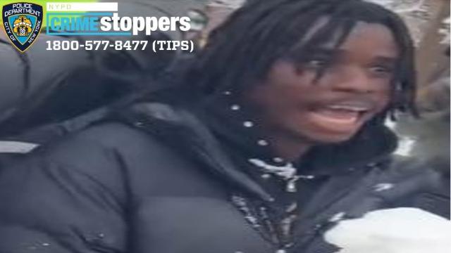 장난으로 시작된 맨해튼 '눈싸움' 결국…뉴욕경찰, 1명 체포