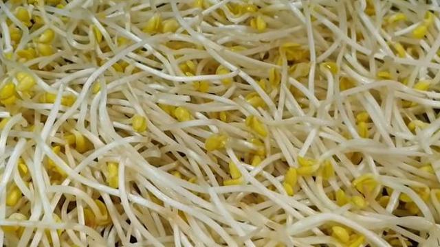 콩나물찜은 '이 방법'이 최고입니다...굳이 '외식' 할 필요 없어요