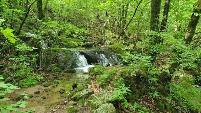 국내여행 사진 찍었던거