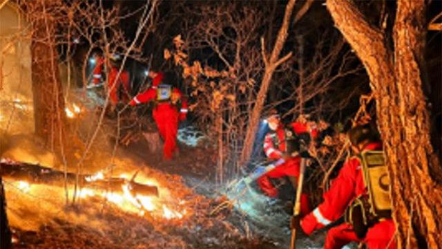 [속보] 춘천 신동면 팔미리 드름산 산불...