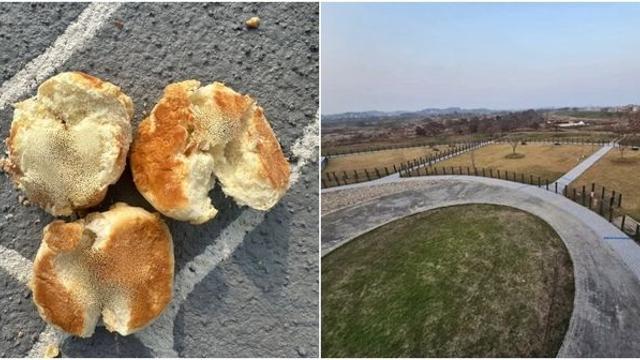 반려견 놀이터에 낚싯바늘 박힌 빵 10개 살포한 범인 검거... 범행 이유 밝혔다