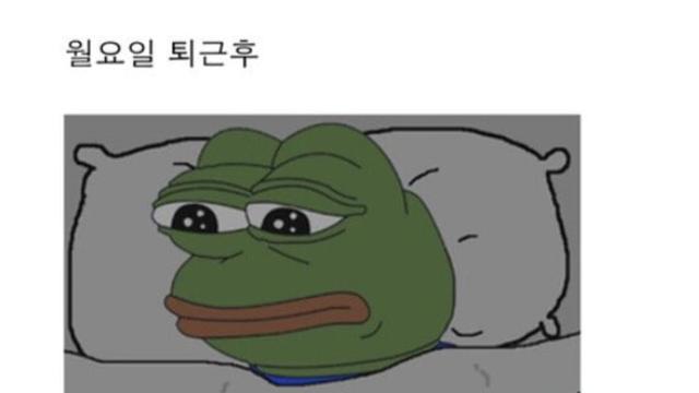 직장인들의 일주일 일상 패턴...jpg