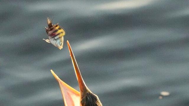 [이슈IN] 운명을 바꾸어 보자... 서점가 삼킨 ‘명리학’ 열풍