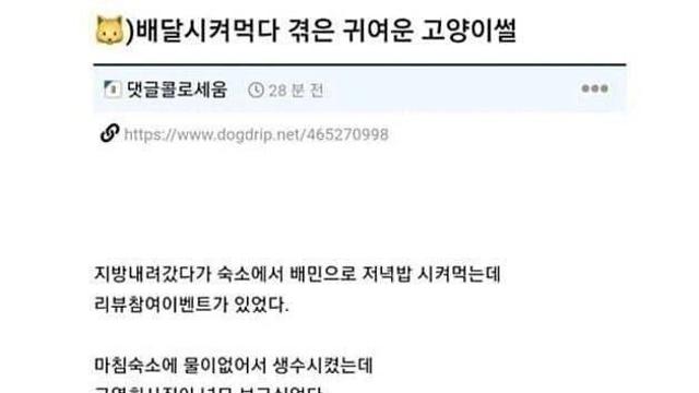 고양이 사진 보내주는 리뷰 이벤트 참여 썰.jpg