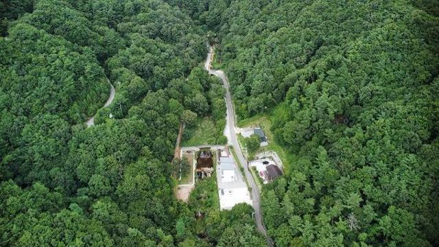 함양 산삼자연휴양림…전국 최초 반려견 전용 자연휴양림으로 인기