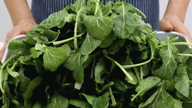 3월 1일 전에 꼭 사세요...꽃 피기 전에 맛이 '최상'으로 올라가는 '이 나물'