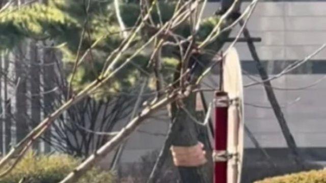 ‘환승연애4’ 성백현, 안지현과 팔짱 포착? 열애 의혹 재점화