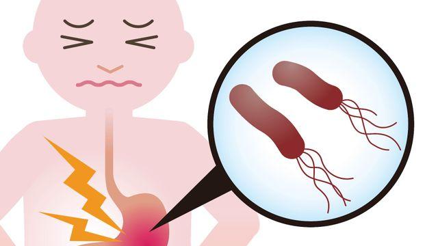 1급 발암물질 ‘헬리코박터균’, 침묵 속에 위 건강 위협한다