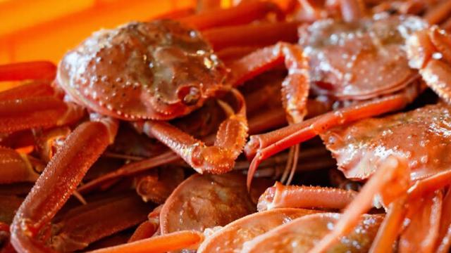 3·1절 황금 연휴, 놓칠 수 없는 전국 먹거리 축제 3