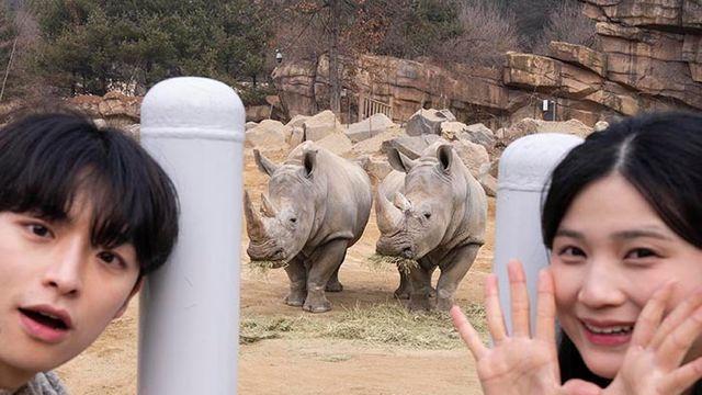 에버랜드, 사파리를 걸어서 탐험한다…'로스트밸리 워킹 사파리' 개막