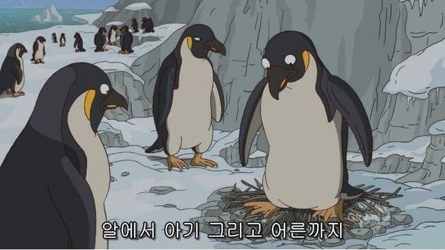 심슨에서 말하는 인생..jpg