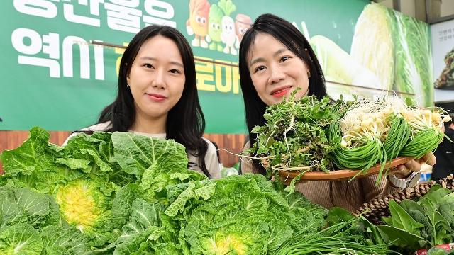'두쫀쿠' 가고 '봄동비빔밥' 왔다…