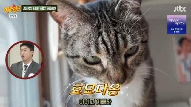 송하빈, '아는 형님' 출연해 플러팅 댄스 폭발… 