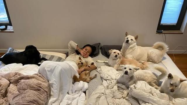 이효리 “엉망진창이라 느끼나? 돌아보면 가장 행복”…평온한 일상 ‘훈훈’ [IS하이컷]