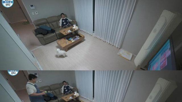 [나혼자산다] 어제자 나혼산에 나온 꽃분이 마지막 모습ㅠㅠㅠㅠㅠㅠㅠㅠ