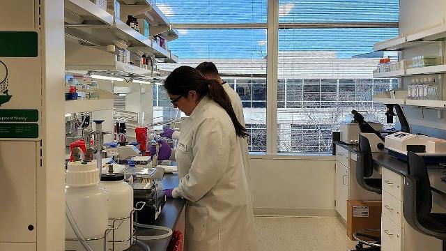 '인보사 사태' 피해주주들, 코오롱 상대 손배소송 잇단 패소