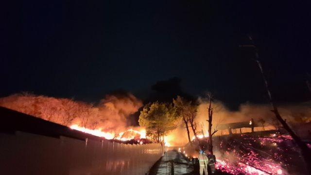 안성 보개면 양계농장서 불...인근 임야로 번져