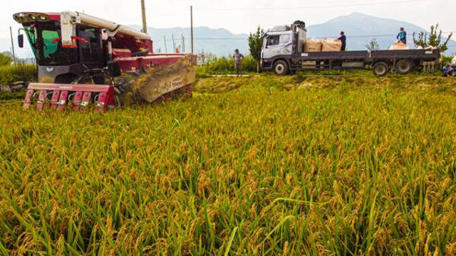 정부, 사상 첫 ‘농지 전수조사’…“수도권 투기위험군 고강도 조사”