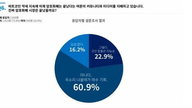가상자산 투자자, 