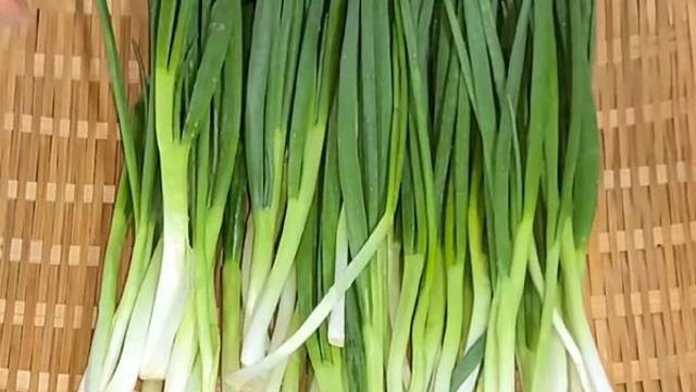 고춧가루는 기본...'파'로 만드는 반찬에는 '이것' 넣어야 맛이 납니다