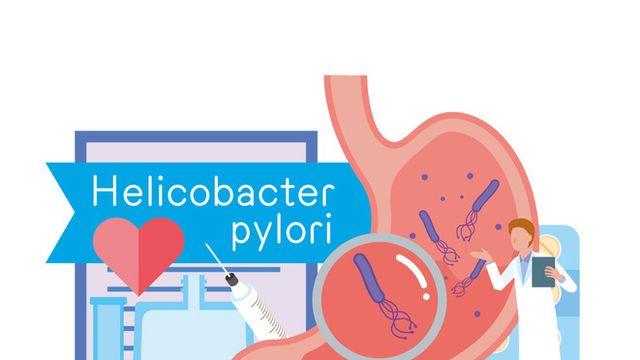 헬리코박터·HPV·B형간염… 암 일으키는 세균·바이러스·기생충 9종은?