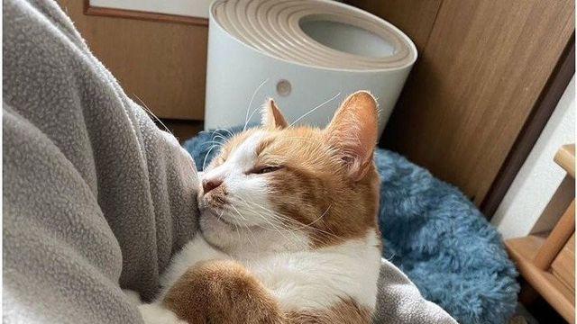 부모님 사이가 좋았던게 독이됐네