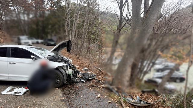 부산서 내리막길 달리던 승용차가 가로수 충돌…2명 사상