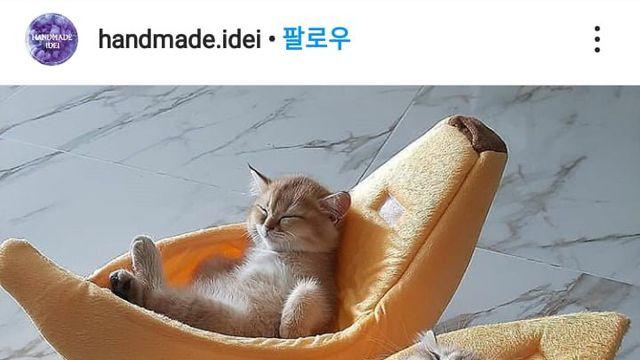 편안해 보이는 냥이 침대