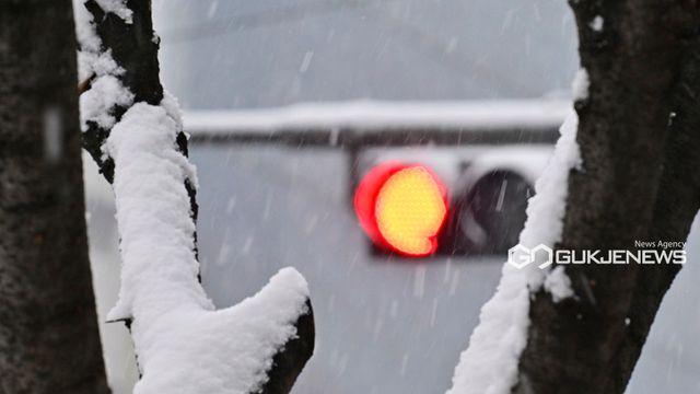 [오늘날씨] '최고 50㎜' 경기·강원·경북 등 눈폭탄...서울 낮 12도·대구 11도