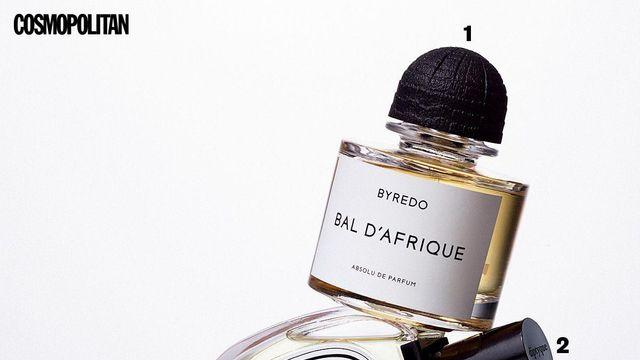 향수, 립, 쿠션, 클렌징까지, 지금 교체해야 할 봄 뷰티 화장품 4