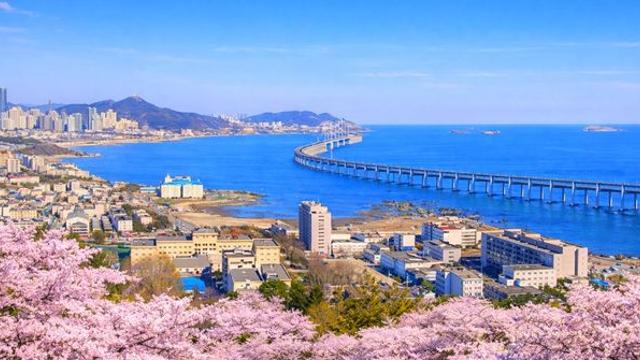 봄 여행지 1위 등극?… 여행객들 사이에서 '숨은 보석'이라 불리는 '국내 명소'