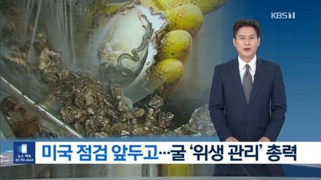 굴 수출길 막힐라…’위생 관리’ 총력