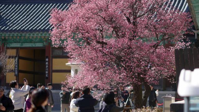 [내일날씨] 일교차 큰 날씨 계속…출근길 -5도·낮 최고 14도