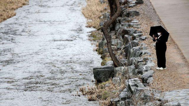 <오늘의 날씨> ‘경칩’에 전국 눈·비⋯곳곳 미세먼지 ‘나쁨’