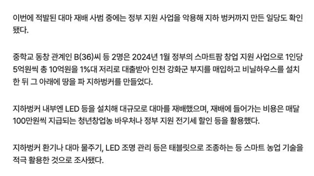 요즘 대마 업자들 근황