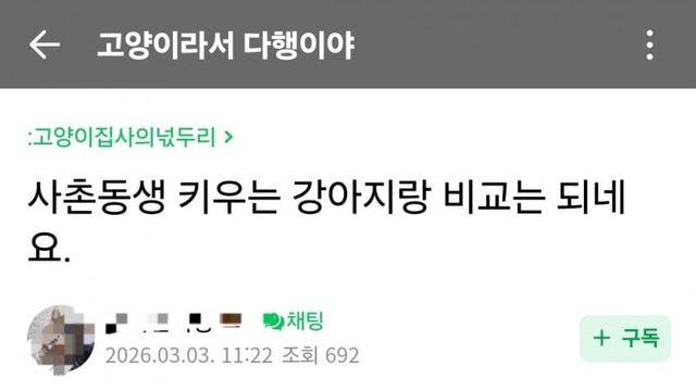 ㄱㄷ) 댓글 폭발 사촌동생이 키우는 품종견괴 비교되요ㅠㅠ