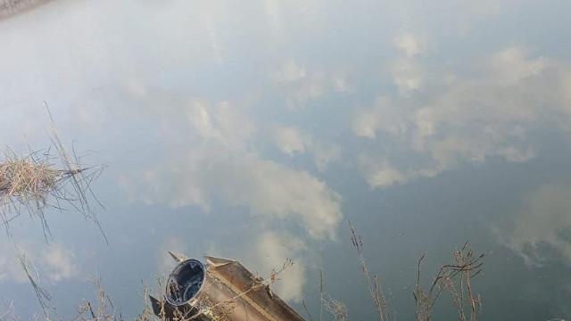 나토 가입국 튀르키예 