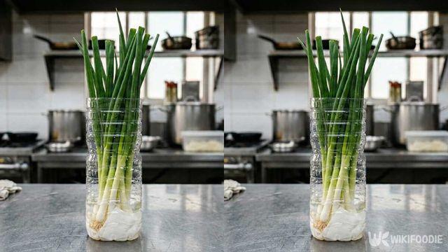 대파를 페트병에 넣어보세요…2주가 지나도 싱싱합니다
