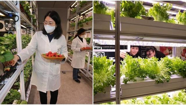 텅 빈 서울 지하도상가, '농장'으로 메우면 어떨까?