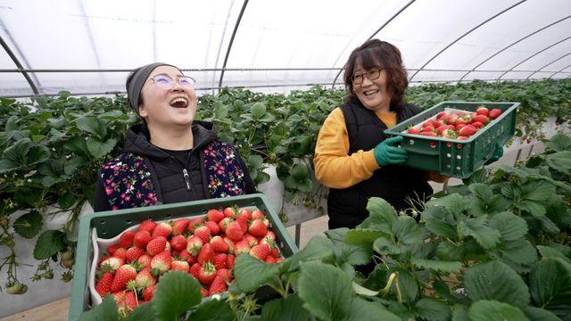 한국기행 오늘이 가장 좋은 봄 3부 상큼달달~ 숙 자매의 봄맛