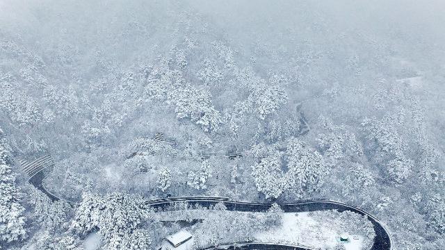 강원 향로봉 14.5㎝ 눈…밤사이 내린 눈·비 얼어 '살얼음'