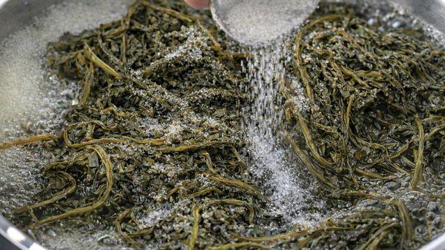 3월부터 제철인 '이 나물', 더 이상 안 불려도 됩니다…왜 이 고생을 자초했을까요