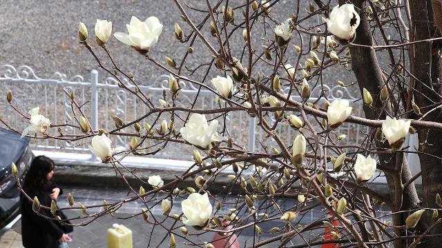 삶 만족도, 여전히 OECD 최하위권…자살률·상대적빈곤율 상승