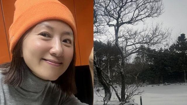 김희애, 집 정원이 공원 수준... 고양이 발자국도 찍힌 ‘대저택 일상’ [IS하이컷]