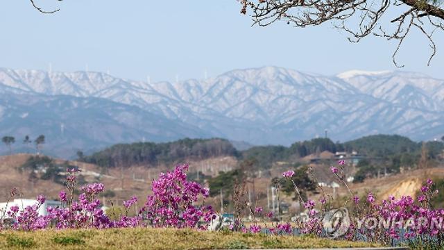 강원 아침 영하권 꽃샘추위…내륙·동해안 낮 최고 7∼8도