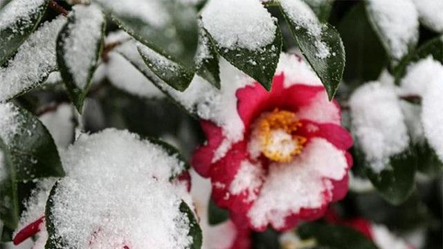 내일날씨, 영하권추위 