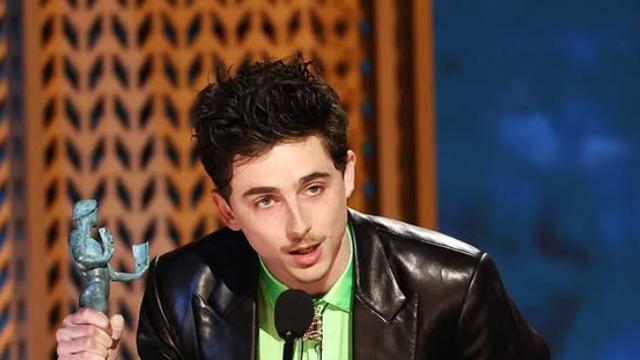 티모시 샬라메 또 실언…“오페라·발레 같은 인기 없는 분야서 일하기 싫어” 논란 [IS해외연예]