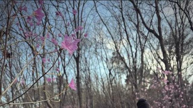 ‘천만 배우’된 박지훈, ‘왕사남’ 현장 사진 공개 [DA★]